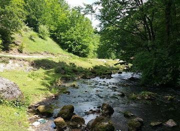 romania/bihor/landmark/pestera-izbandis