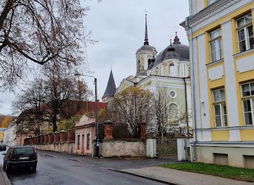 estonia/tartu-university/landmark/tartu-st-virgin-mary-s-dormition-cathedral