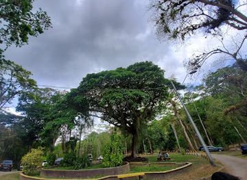 trinidad-and-tobago/tunapuna-piarco/landmark/caura-river