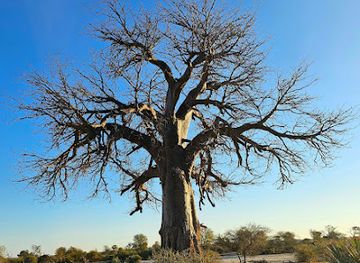 namibia/kavango-east/landmark/bwabwata-national-park-mahango-core-area