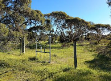 australia/coorong/landmark/nurragi-conservation-reserve