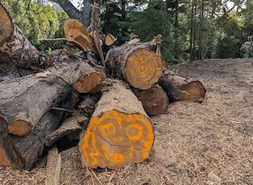 new-zealand/hawke-s-bay/landmark/kingsgate-reserve