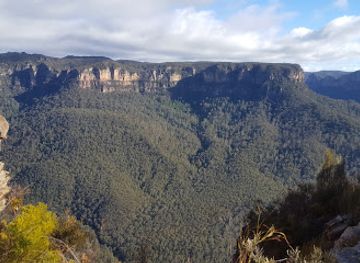 australia/blue-mountains-national-park/landmark/blue-gum-forest