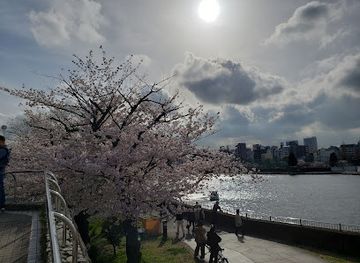 japan/iki/landmark/sumida-river