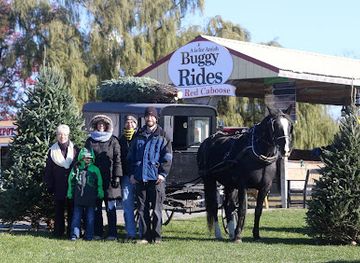 pennsylvania/amish-country/landmark/a-is-for-amish-buggy-rides