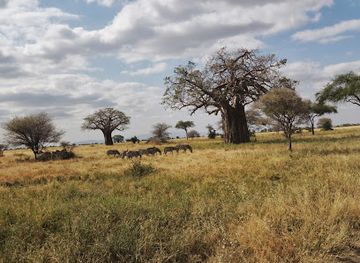 kenya/kilimanjaro-region/landmark/kilimanjaro-vikings-tanzania-adventure-tours-safari-trekking