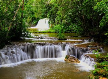 brazil/pantanal/landmark/pantanal-discovery-tour-to-pantanal-and-bonito