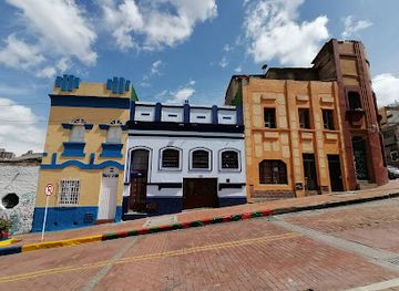 colombia/bogota/la-candelaria/landmark/street-dog-face