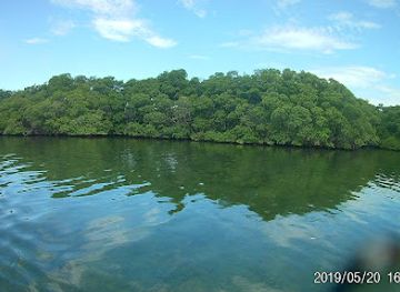 belize/caye-caulker/landmark/friends-of-swallow-caye