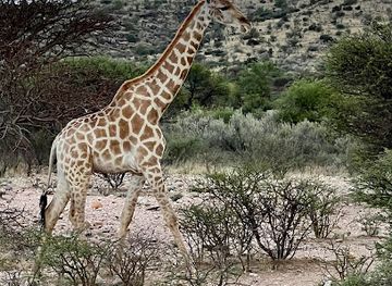 namibia/windhoek/landmark/gocheganas-nature-reserve
