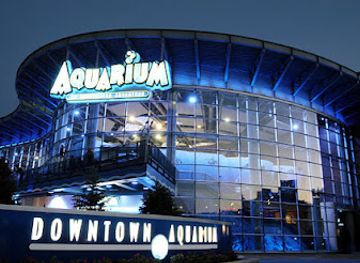 colorado/denver/five-points/landmark/downtown-aquarium