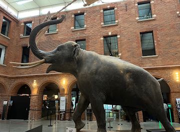 france/toulouse/landmark/museum-de-toulouse