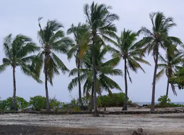 Mitsamihuli Mjini