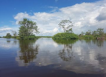 suriname/lelydorp/landmark/bigi-pan