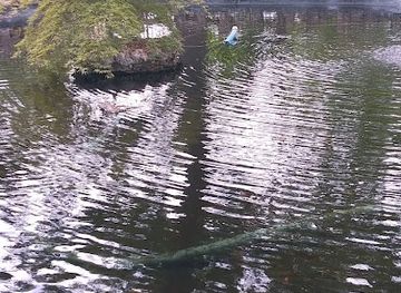 michigan/holland/landmark/holland-historic-district