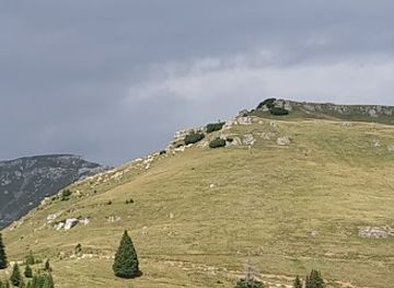 romania/parang-mountains/landmark/padurea-colorata