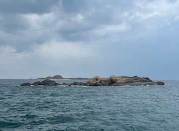 sri-lanka/trincomalee/landmark/trincomalee-swim-with-blue-whales-diving-centre