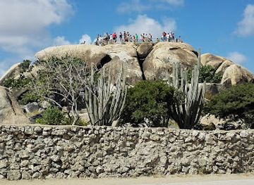 aruba/tanki-leendert/landmark/cadushi-ink-tattoos-aruba