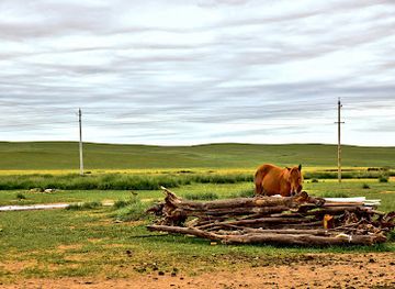 mongolia/mongolian-manchurian-grassland/landmark/xilamuren-grassland-tourism-center