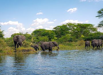 malawi/majete-wildlife-reserve/landmark/liwonde-national-park