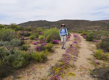 south-africa/namaqualand/landmark/namaqua-camino