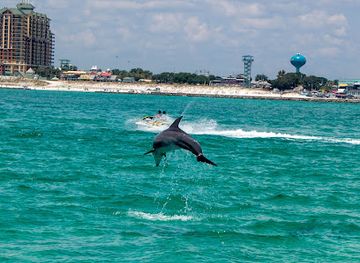 florida/destin/landmark/sailing-moby-adventures