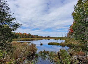 canada/haliburton-highlands/landmark/snowdon-park