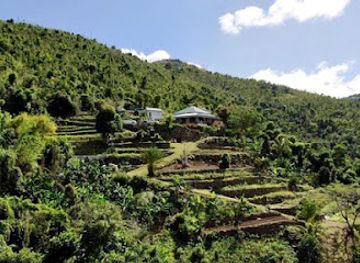 british-virgin-islands/guana-island/landmark/good-moon-farm
