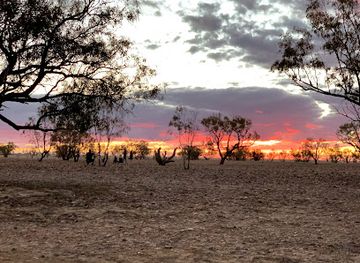 australia/outback/landmark/burke-and-wills-dig-tree