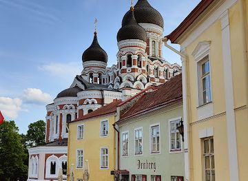 estonia/tallinn/old-town/landmark/alexander-nevsky-cathedral