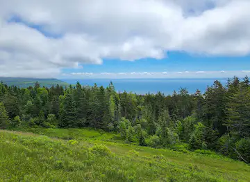 Fundy National Park Observation Deck