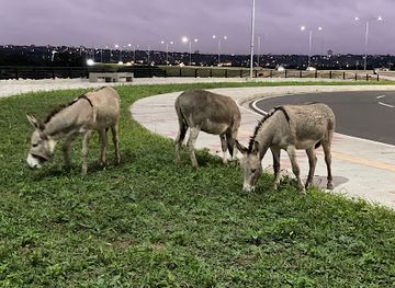 paraguay/southern-paraguay/landmark/rotonda-rio-paraguay