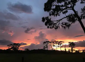 florida/nature-coast/landmark/crowley-museum-nature-center