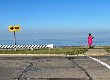 wisconsin/racine/landmark/wisconsin-state-historical-marker-393-southside-historic-district-southside-historic-district-parks