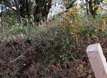 kenya/nairobi/nairobi-central-business-district/landmark/nairobi