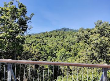 australia/cape-tribulation/landmark/jindalba-boardwalk