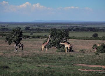 kenya/maasai-mara/landmark/maasai-mara-national-reserve