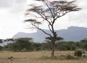 kenya/samburu-region/landmark/shaba-national-reserve