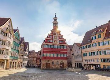germany/stuttgart/landmark/old-town-hall