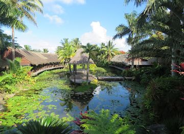cook-islands/ngatangiia/landmark/te-vara-nui-village
