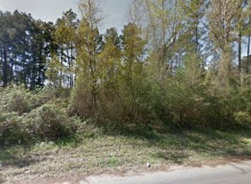 texas/piney-woods/landmark/east-texas-piney-woods-art