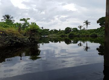 guyana/essequibo-river/landmark/bonasika-creek