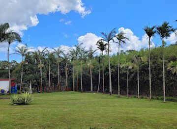 mauritius/savanne/landmark/route-du-the