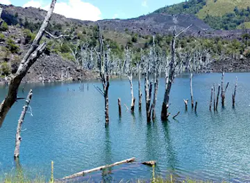 Reserva Nacional Malalcahuello