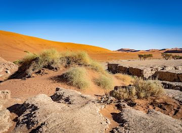 namibia/namib-desert/landmark/big-daddy-dune