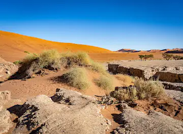 Big Daddy Dune