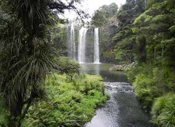 new-zealand/whangarei/landmark/whangarei-falls