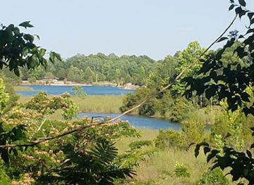 alabama/alabama-coastal-birding-trail/landmark/st-stephens-historical-park