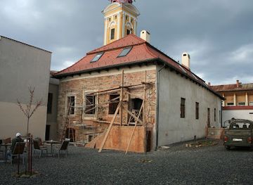 romania/baia-mare/landmark/podul-viilor-9