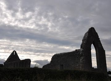 ireland/county-roscommon/landmark/roscommon-friary